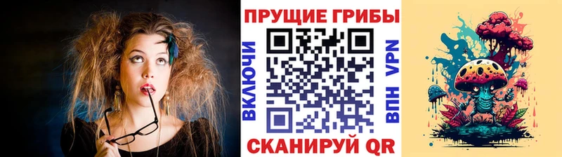 Псилоцибиновые грибы MAGIC MUSHROOMS  kraken ONION  Южно-Сухокумск  как найти закладки 